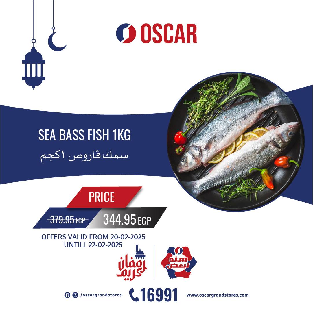 oscar offers from 20feb to 22feb 2025 عروض أوسكار من 20 فبراير حتى 22 فبراير 2025 صفحة رقم 1